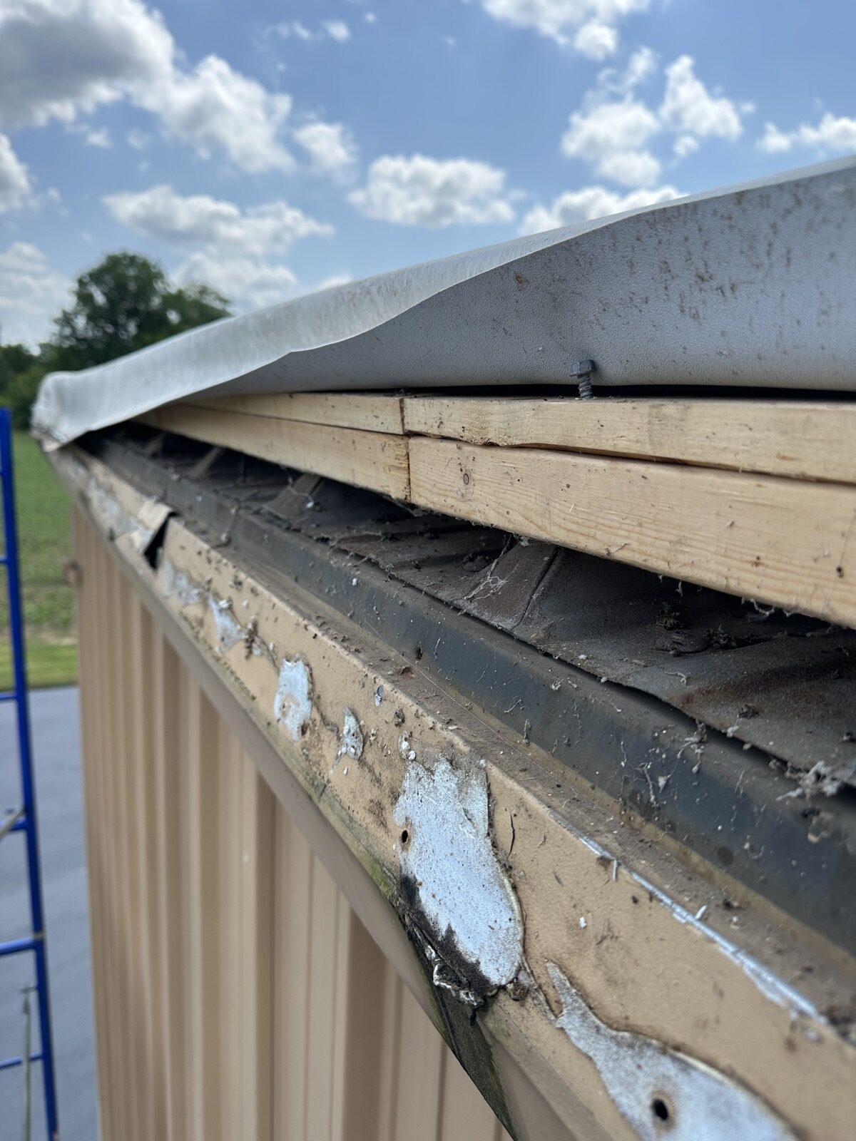 Gutter services project